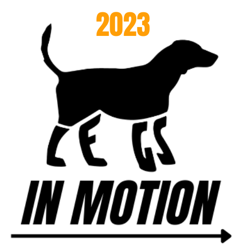 Bundle – Expert Deep Dives – 2023 L.E.G.S. in Motion Conference