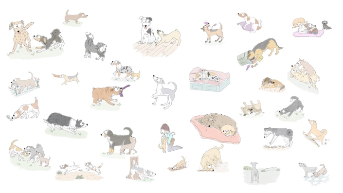 Optimizing Canine Welfare & Behavioral Diversity Using the Total Welfare Ethogram