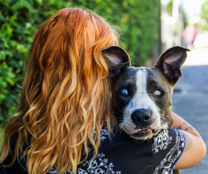 Damaged But Not Broken: The L.E.G.S. of Deaf & Blind Dogs