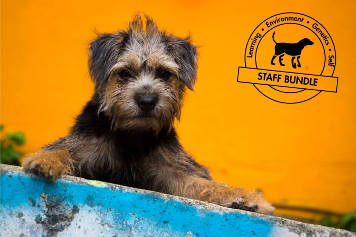 L.E.G.S.® Applied Ethology Family Dog Mediation® Professional Course 2.0 -with Total Welfare Staff Bundles