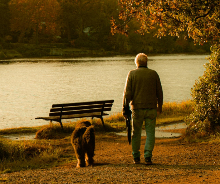 After the Forgetting: Helping Dogs Navigate Human Dementia Using the L.E.G.S. Model