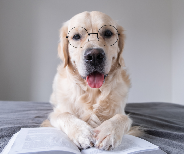 Using L.E.G.S. to Walk Through Consultations: Case Studies