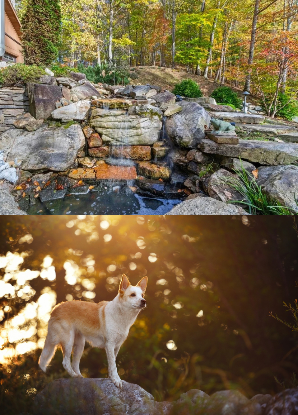 good-life-ridge-amenities-1